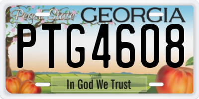 GA license plate PTG4608