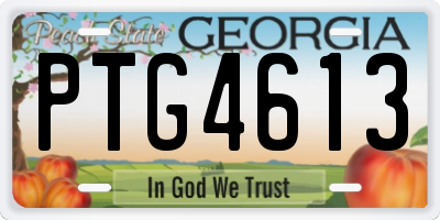 GA license plate PTG4613