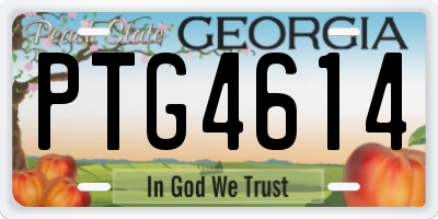 GA license plate PTG4614