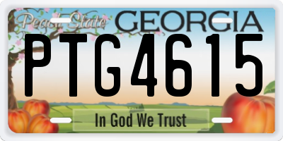 GA license plate PTG4615
