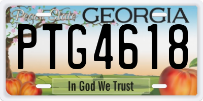 GA license plate PTG4618
