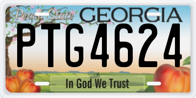 GA license plate PTG4624