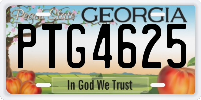 GA license plate PTG4625