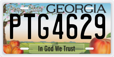 GA license plate PTG4629