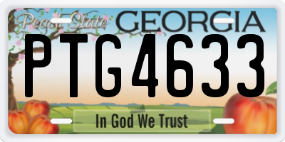 GA license plate PTG4633