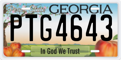 GA license plate PTG4643