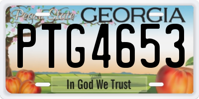 GA license plate PTG4653