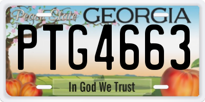 GA license plate PTG4663