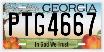 GA license plate PTG4667