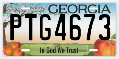 GA license plate PTG4673
