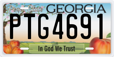 GA license plate PTG4691