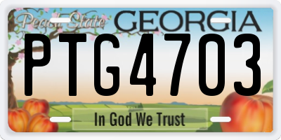 GA license plate PTG4703
