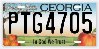 GA license plate PTG4705