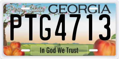 GA license plate PTG4713