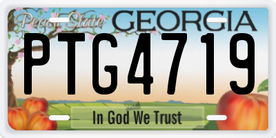 GA license plate PTG4719