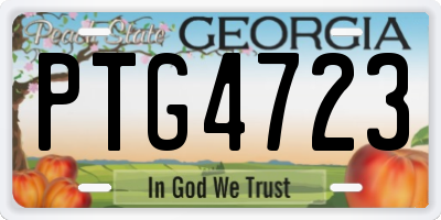 GA license plate PTG4723