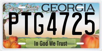 GA license plate PTG4725