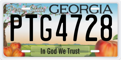GA license plate PTG4728