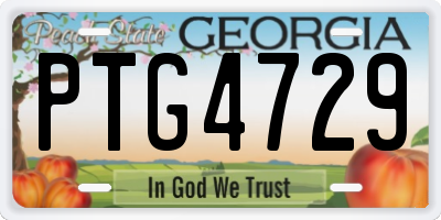 GA license plate PTG4729