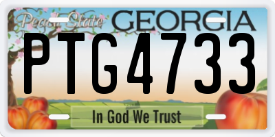 GA license plate PTG4733