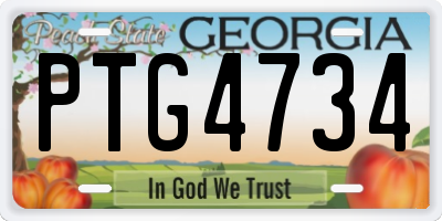 GA license plate PTG4734