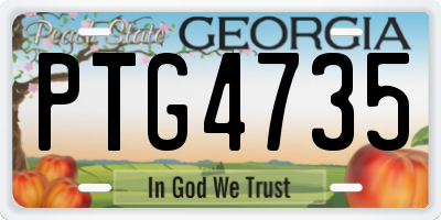 GA license plate PTG4735