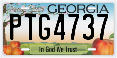 GA license plate PTG4737