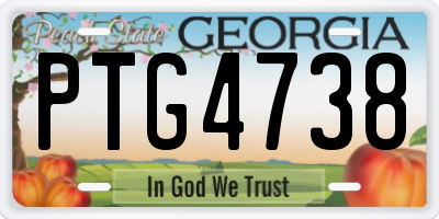GA license plate PTG4738