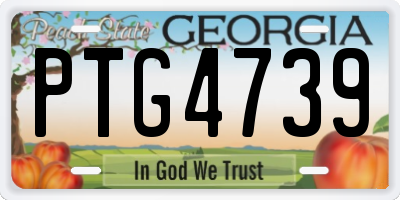 GA license plate PTG4739
