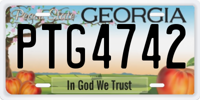GA license plate PTG4742