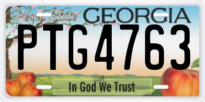 GA license plate PTG4763