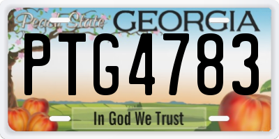 GA license plate PTG4783