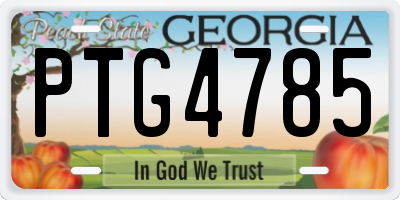 GA license plate PTG4785