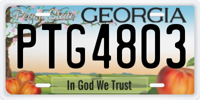 GA license plate PTG4803