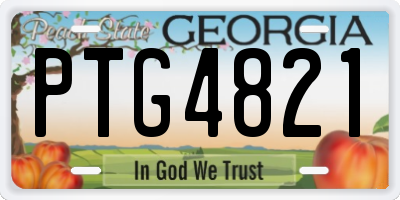 GA license plate PTG4821