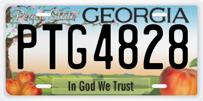 GA license plate PTG4828