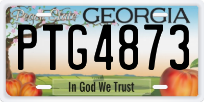 GA license plate PTG4873