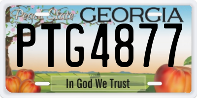 GA license plate PTG4877