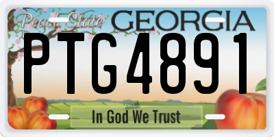 GA license plate PTG4891