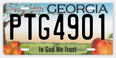 GA license plate PTG4901
