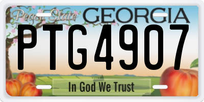 GA license plate PTG4907
