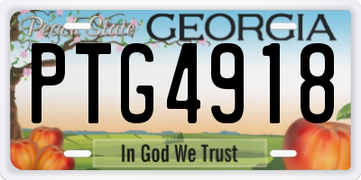 GA license plate PTG4918