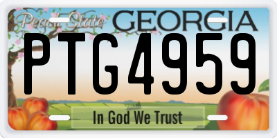 GA license plate PTG4959