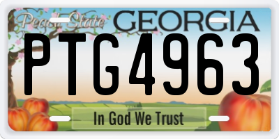 GA license plate PTG4963