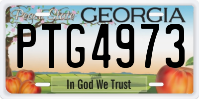 GA license plate PTG4973