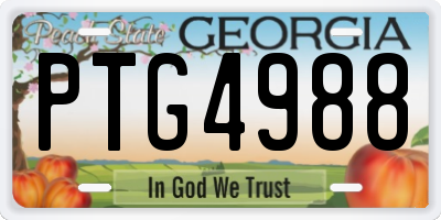 GA license plate PTG4988