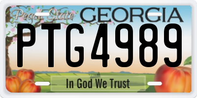 GA license plate PTG4989