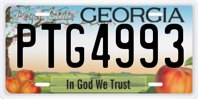 GA license plate PTG4993