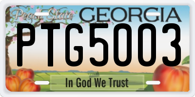 GA license plate PTG5003