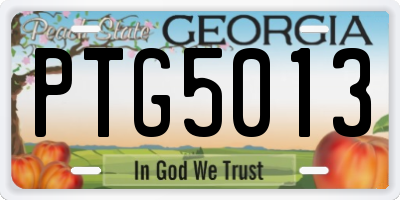 GA license plate PTG5013